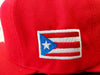 Puerto Rico Snapback Hats