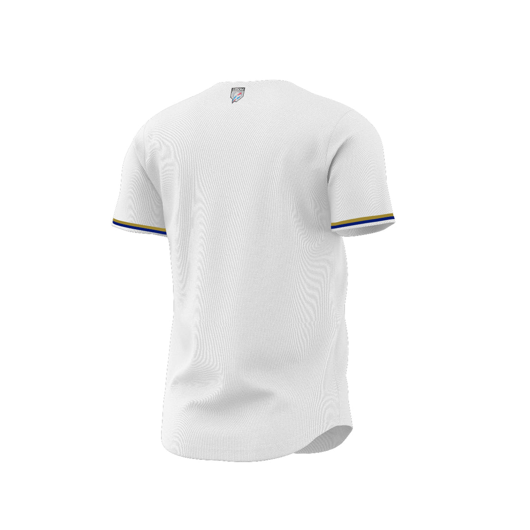 2024-2025 OFFICIAL Tigres del Licey Full Button Jersey1