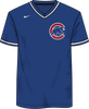 Nike Chicago Cubs Men's MLB Institutional V-Neck SS Synthetic Jersey