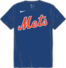 Men's New York Mets Nike Institutional S/S Crew Neck Drifit T-Shirt