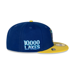 Minnesota Twins City Connect Hat - 2024