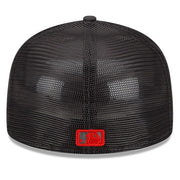 Minnesota Twins Batting Practice mesh Hat