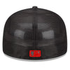 Minnesota Twins Batting Practice mesh Hat