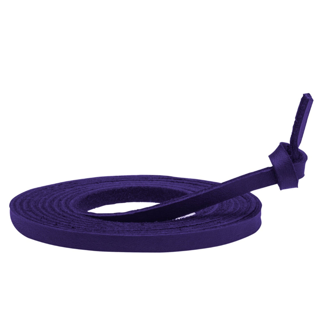 Mizuno Ball Glove Lace - 5.5mm x160cm_Purple1