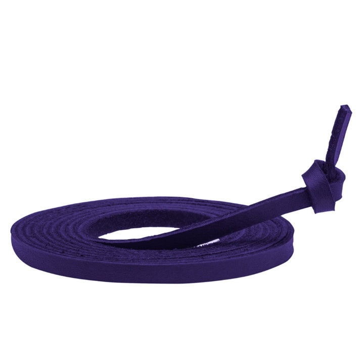 Mizuno Ball Glove Lace - 5.5mm x160cm_Purple1