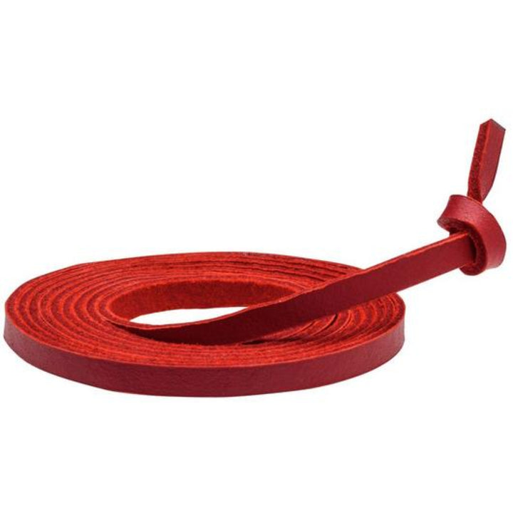 Mizuno Ball Glove Lace - 5.5mm x160cm_Red