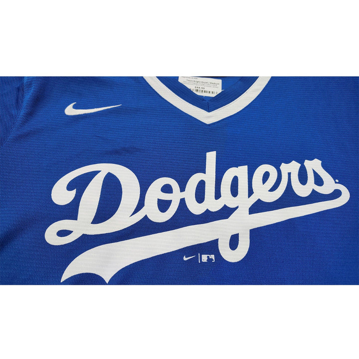 Oversize - Nike Los Angeles Dodgers Men's MLB Institutional V-Neck SS Synthetic Jersey1