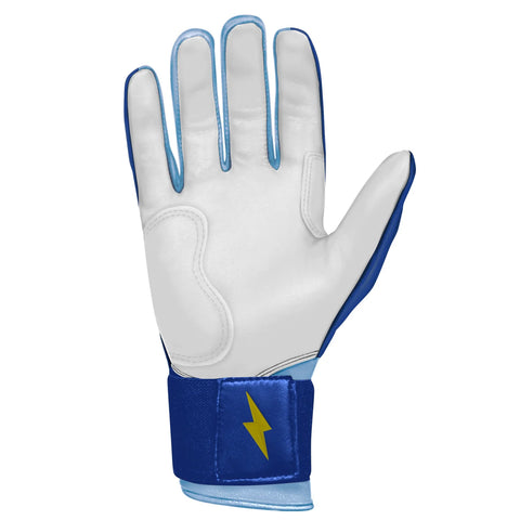 PREMIUM PRO PHILLIPS Series Long Cuff Batting Gloves