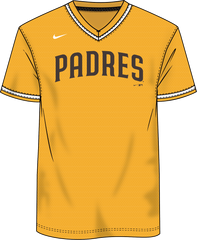 Nike San Diego Padres Men's MLB Institutional V-Neck SS Synthetic Jersey