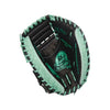 Rawlings Pro Preferred 33-inch Baseball Catcher's Mitt - (PROSCM33-23BM)1