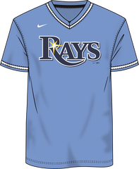 Nike Tampa Bay Rays Men's MLB Institutional V-Neck SS Synthetic Jersey