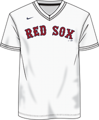 Nike Boston Red Sox Men's MLB Institutional V-Neck SS Synthetic Jersey