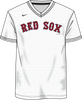 Nike Boston Red Sox Men's MLB Institutional V-Neck SS Synthetic Jersey