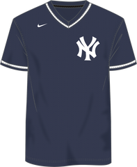 Nike New York Yankees Men's MLB Institutional V-Neck SS Synthetic Jersey