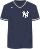 Nike New York Yankees Men's MLB Institutional V-Neck SS Synthetic Jersey