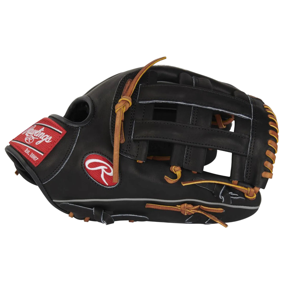 Rawlings Heart of the Hide PROT3029C-6B Pro H-Web side view