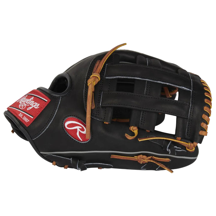 Rawlings Heart of the Hide PROT3029C-6B Pro H-Web side view