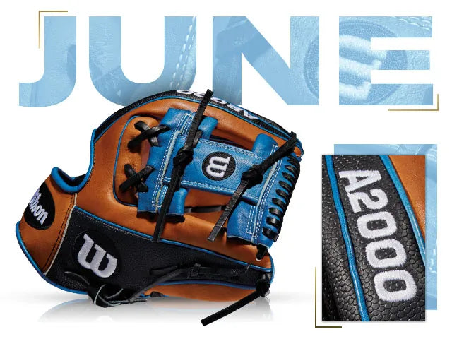 Collection of 100 Wilson Gloves of the Month – Peligro Sports