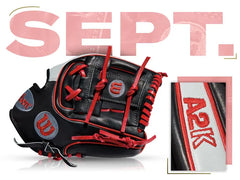 WILSON GOTM #28: FAN VOTE A2K DATDUDE - SEP 2015