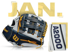 WILSON GOTM #44: FAN-DESIGNED CUSTOM A2000 PP05 - JAN 2017