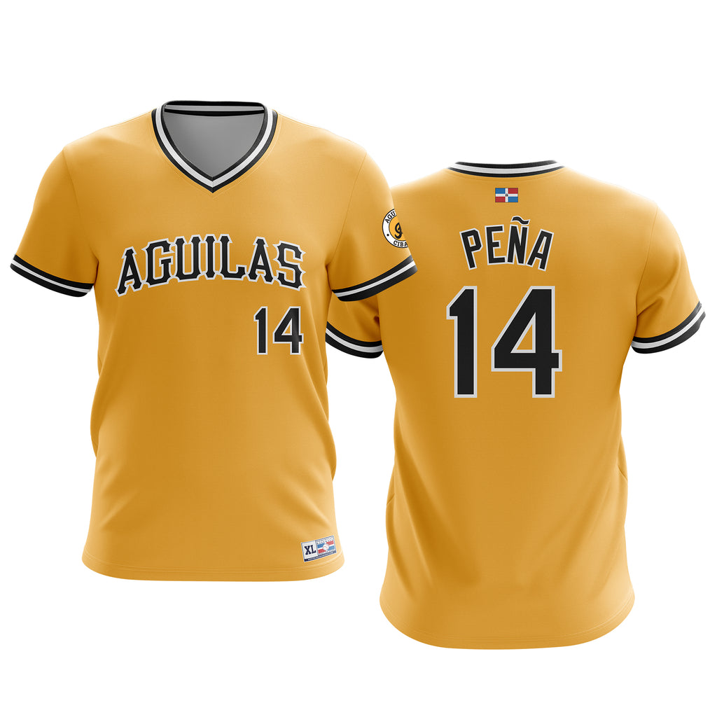 Pedro Martinez Hall of Fame Jersey - Exclusive Edition – Peligro Sports