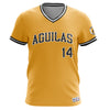 Dominican Hall of Fame - Aguilas Cibaenas - Pena 14 - Gold1