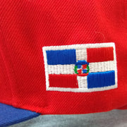 Dominican Republic RD Logo SnapBack Hat3