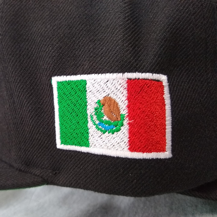 Embroidered Eagle and flag Mexico SLIM LOGO SnapBack hat7