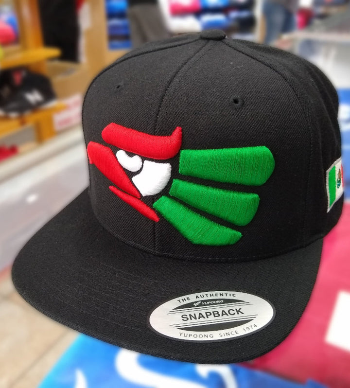 Embroidered Eagle and flag Mexico WIDE logo SnapBack hat2