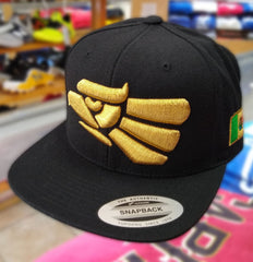 Embroidered Eagle and flag Mexico WIDE logo SnapBack hat3