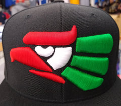 Embroidered Eagle and flag Mexico WIDE logo SnapBack hat5
