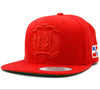 Escudo Republica Dominicana - Dominican Snapback Hat19
