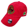 Mexico Vintage hats with Mexican Flag and Shield-