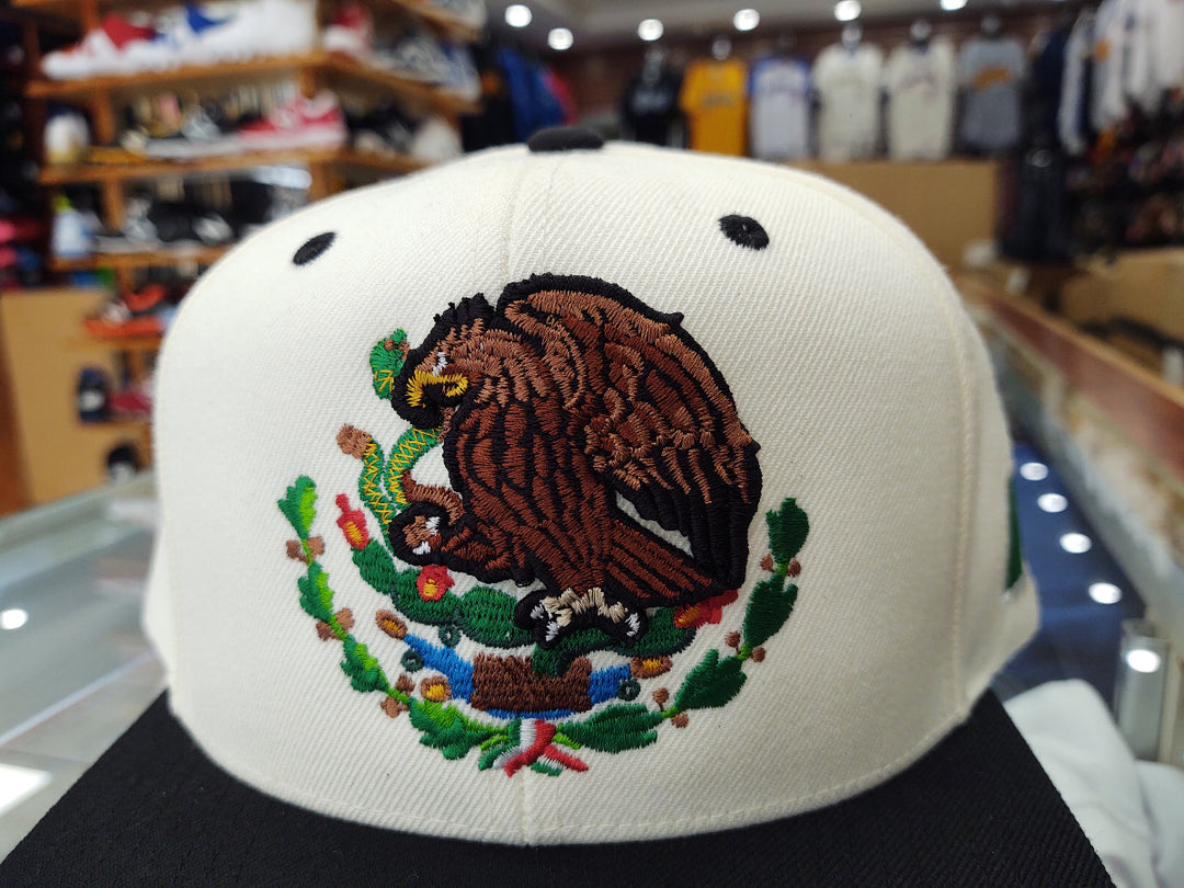 Mexico Snapback hats Embroidered Shield and flag1