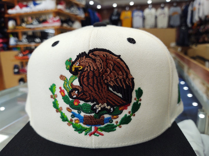 Mexico Snapback hats Embroidered Shield and flag1