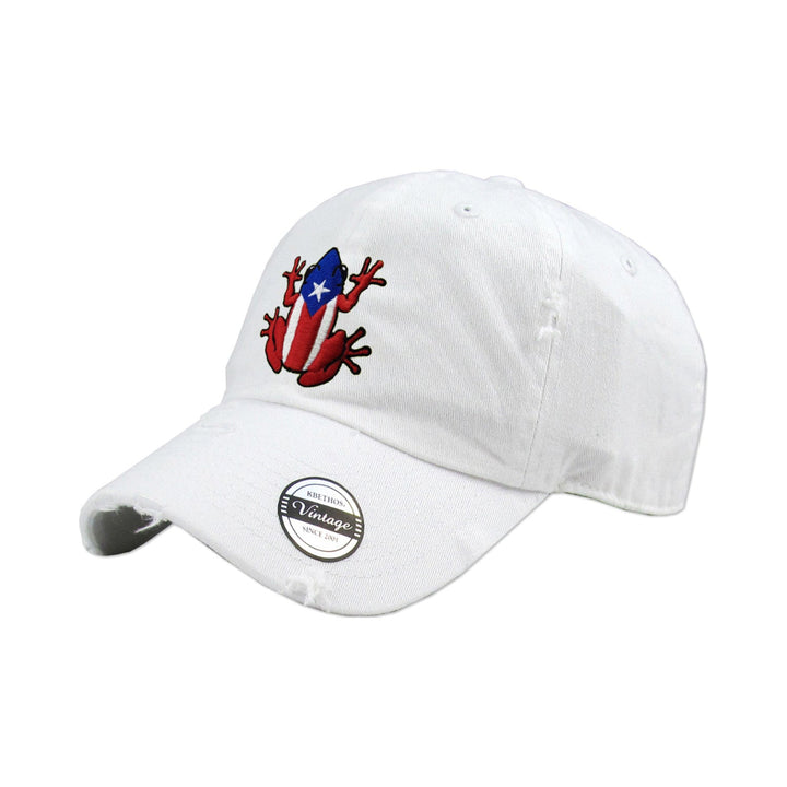 Puerto Rico Vintage hat with Coqui Logo4
