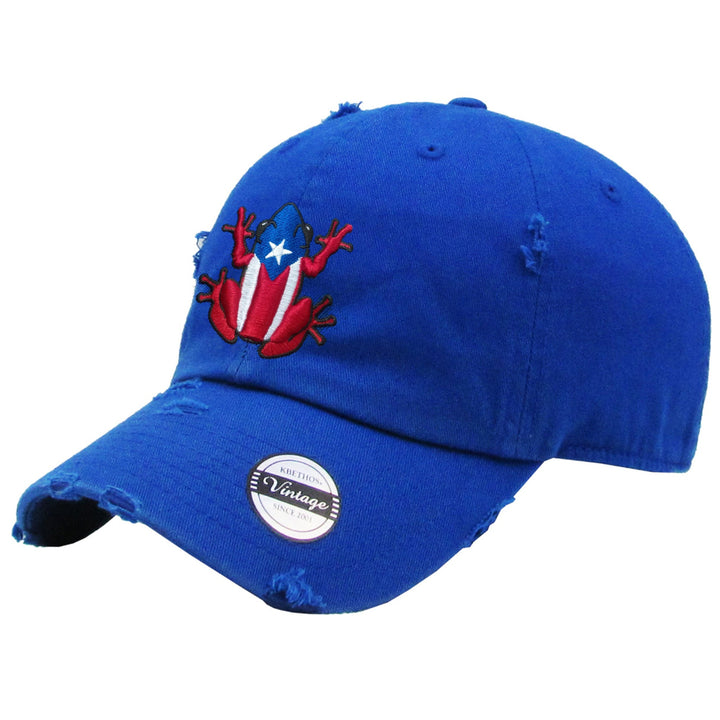 Puerto Rico Vintage hat with Coqui Logo_Royal