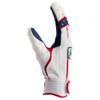 Franklin CFX Chrome 4th of July Men's Batting Gloves